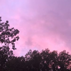 Meet your Posher, Ashlee